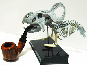 dino&pipe