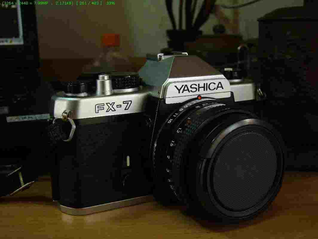 yashica