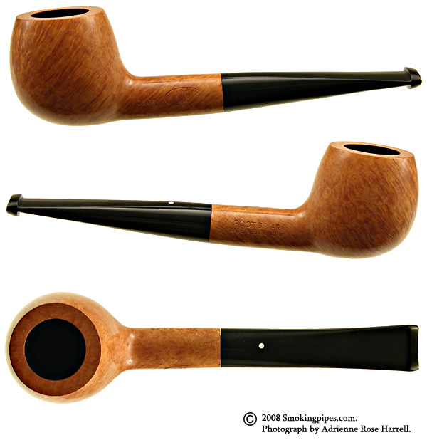 Root Briar (3101).jpg